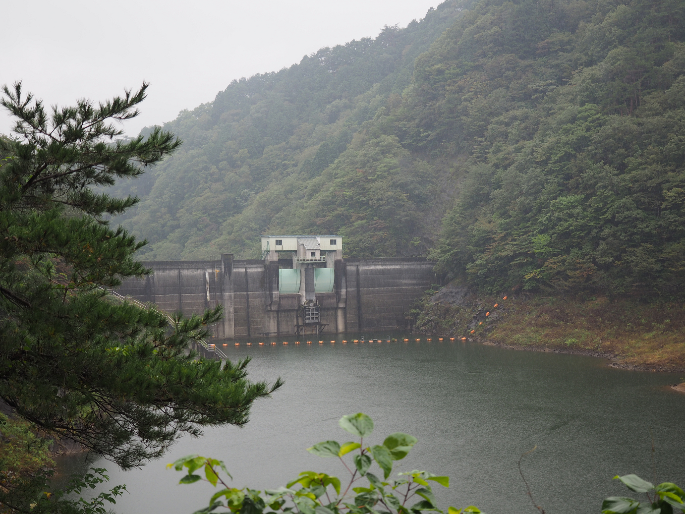 PA050049.jpg