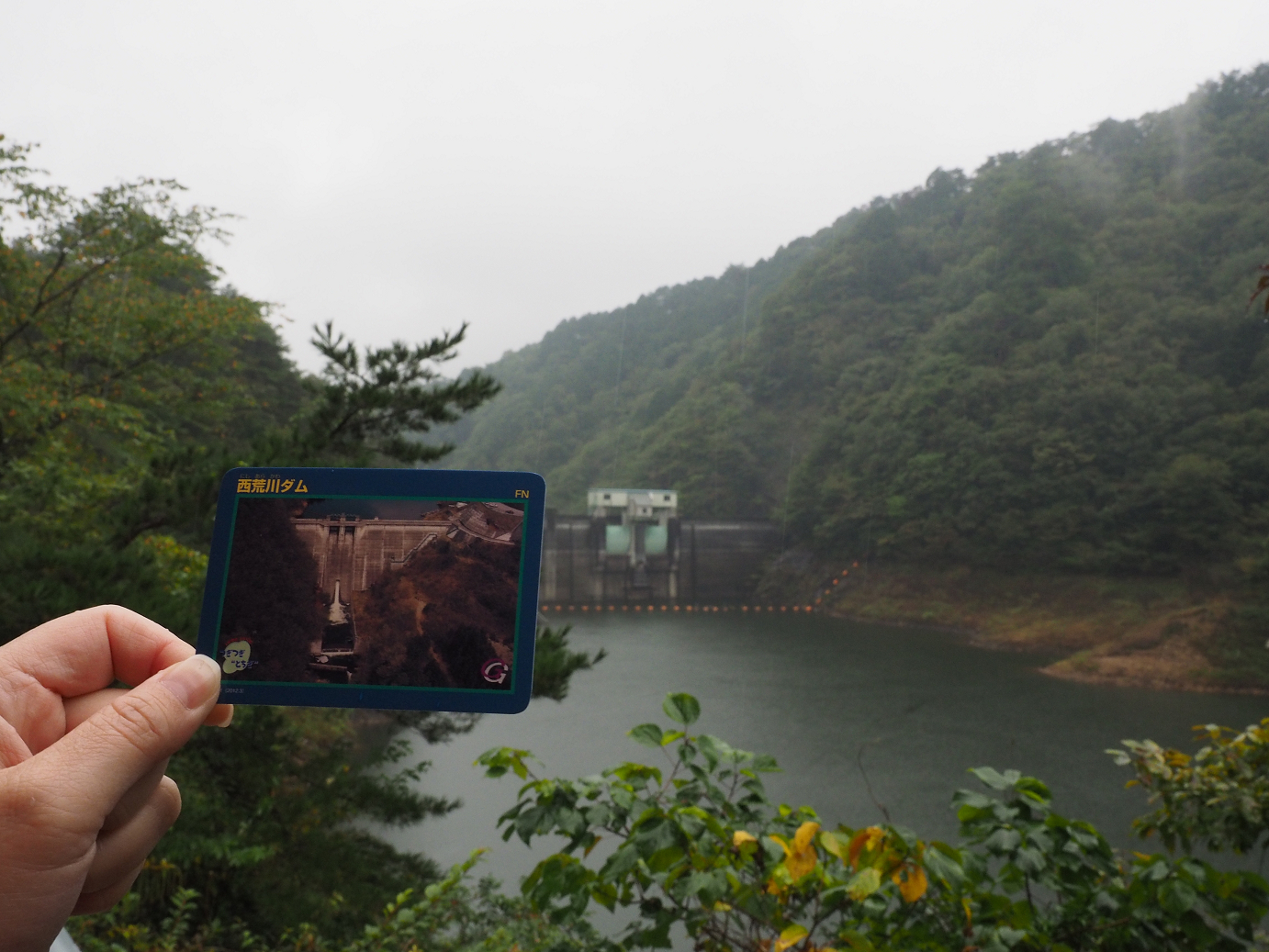 PA050052.jpg