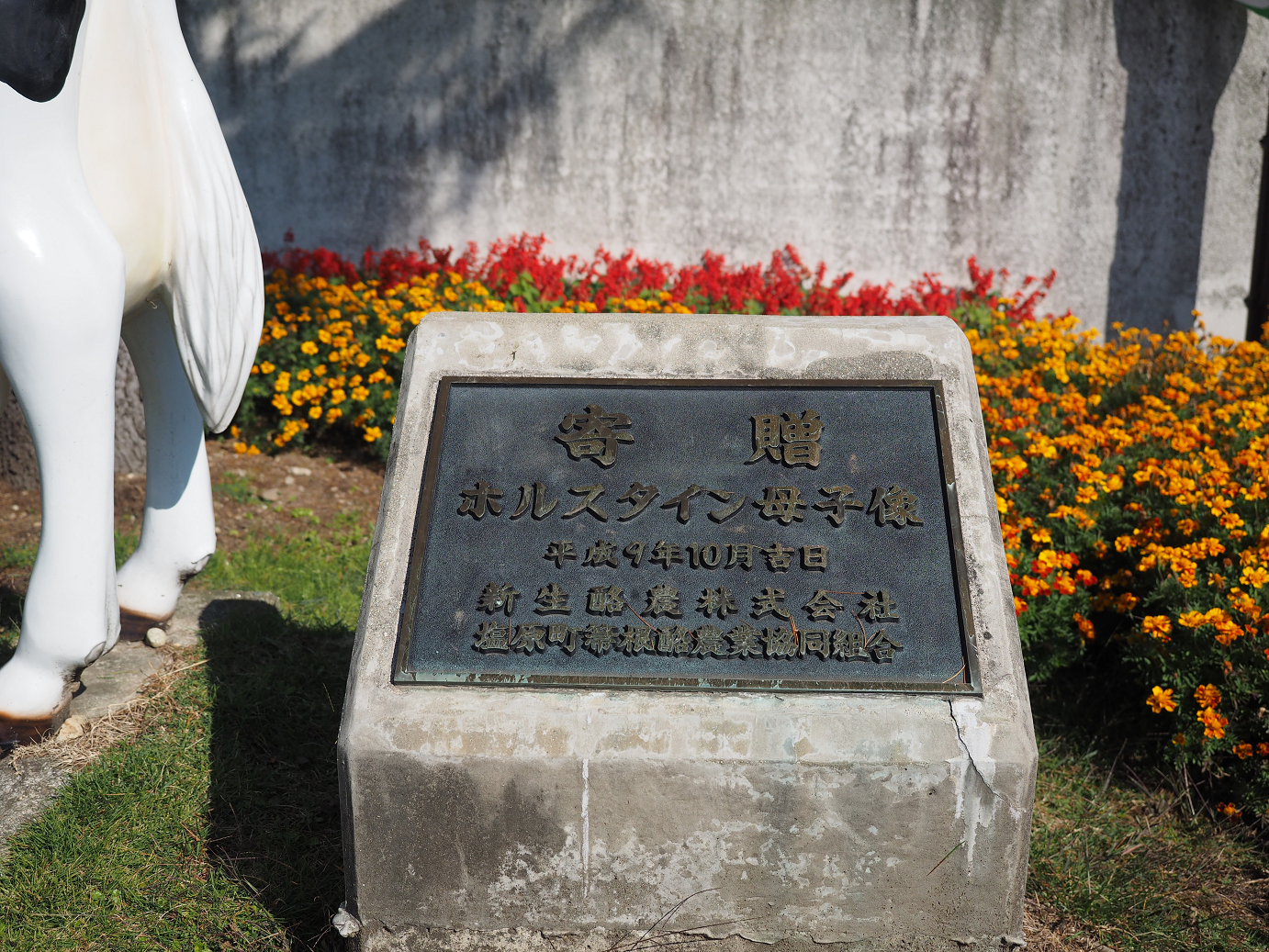 PA110019.jpg