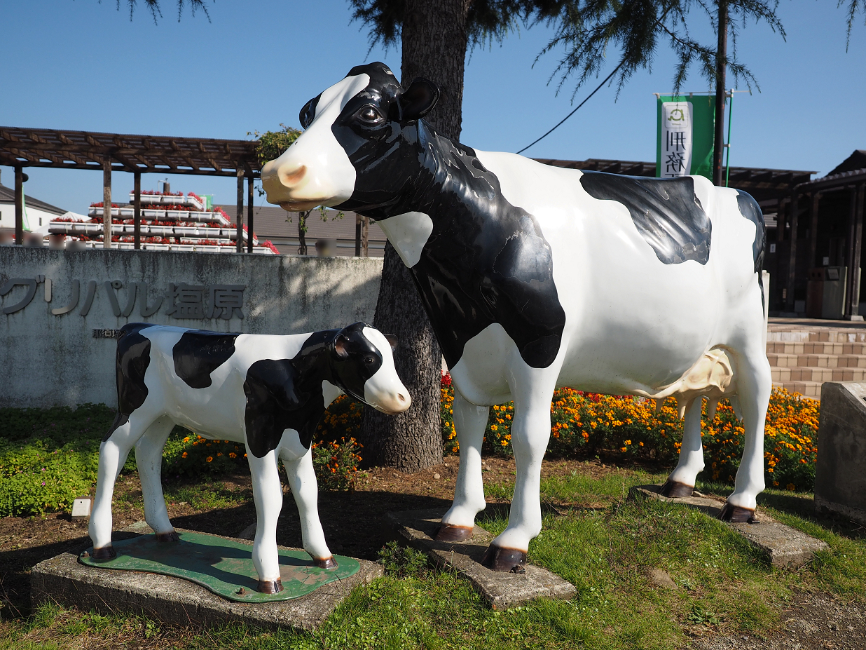 PA110021.jpg
