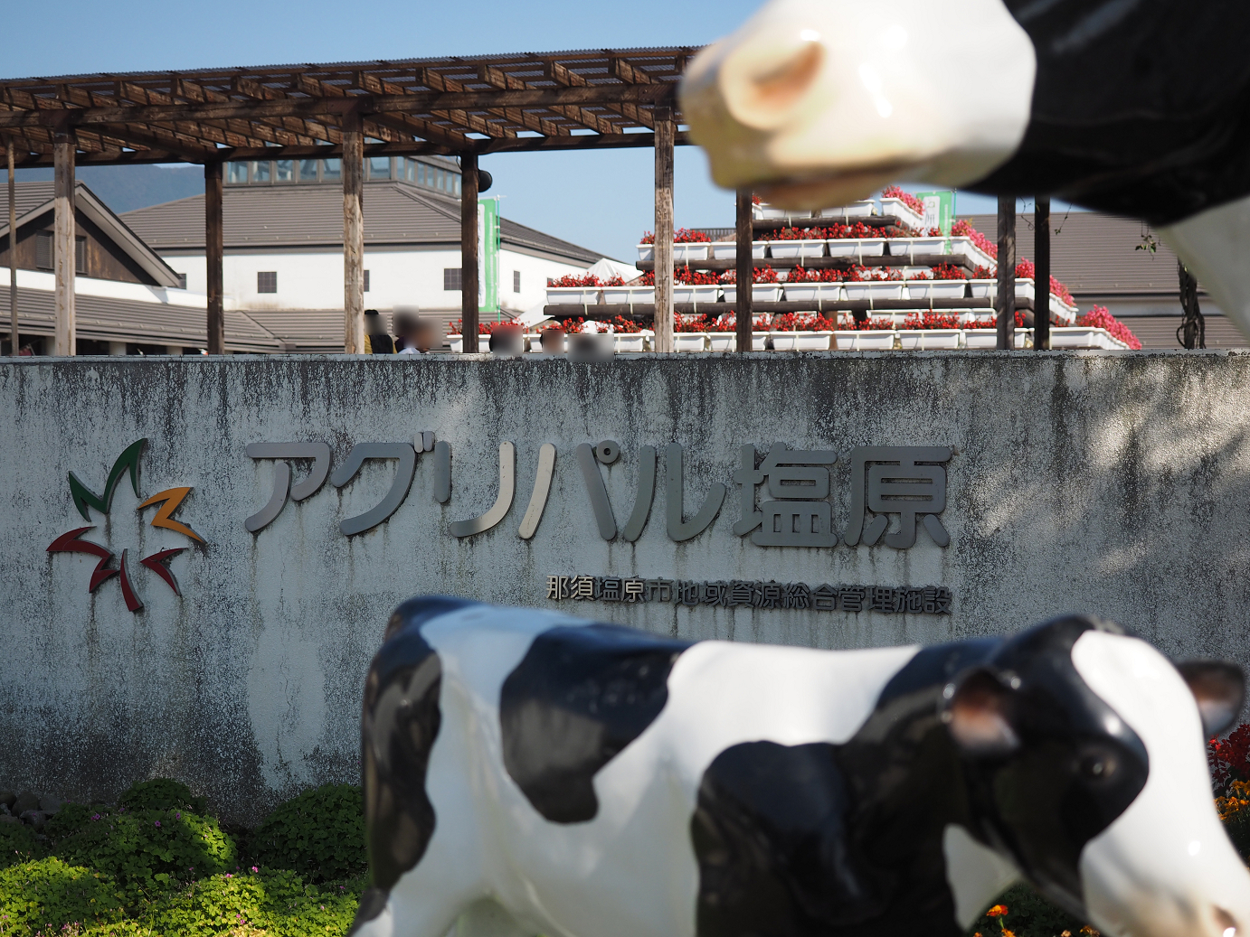 PA110023.jpg