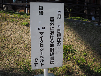 PA110026_thumb.png