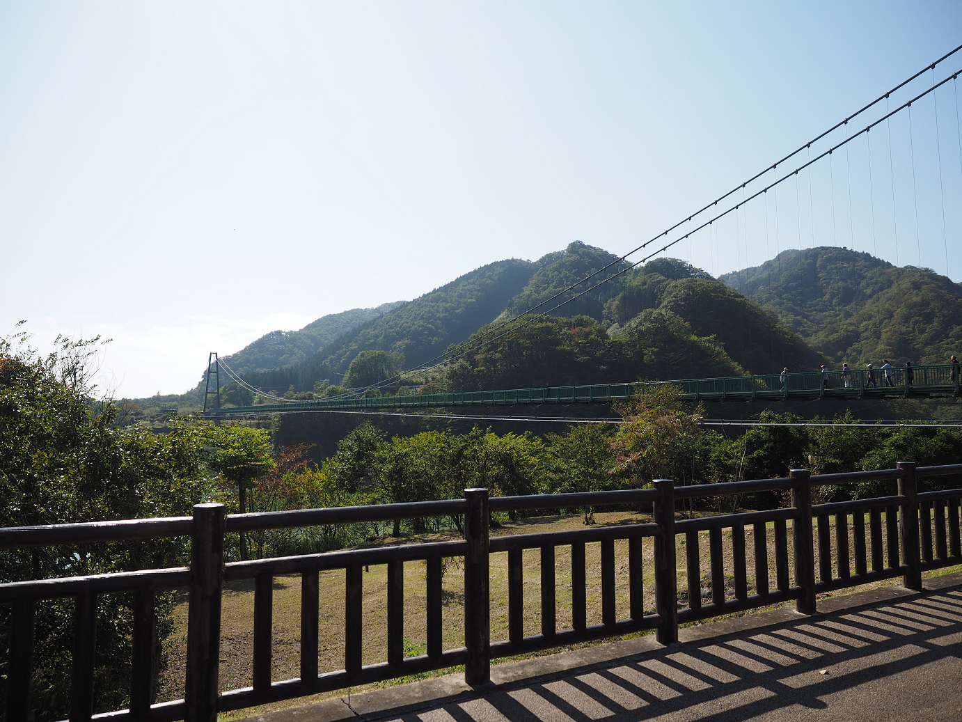 PA110030.jpg