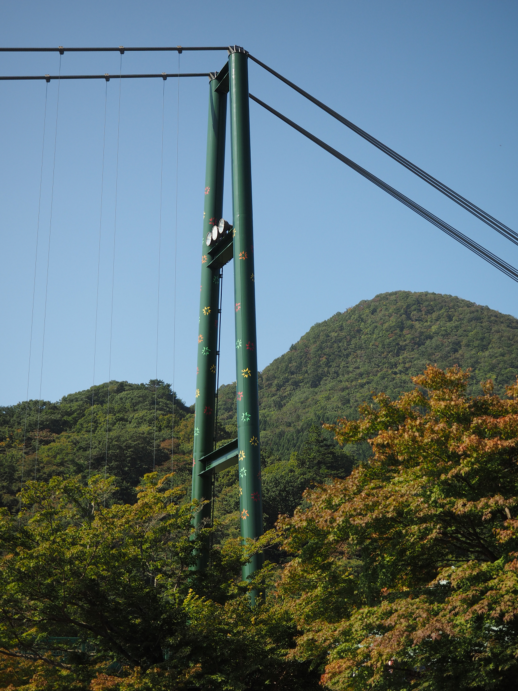 PA110031.jpg