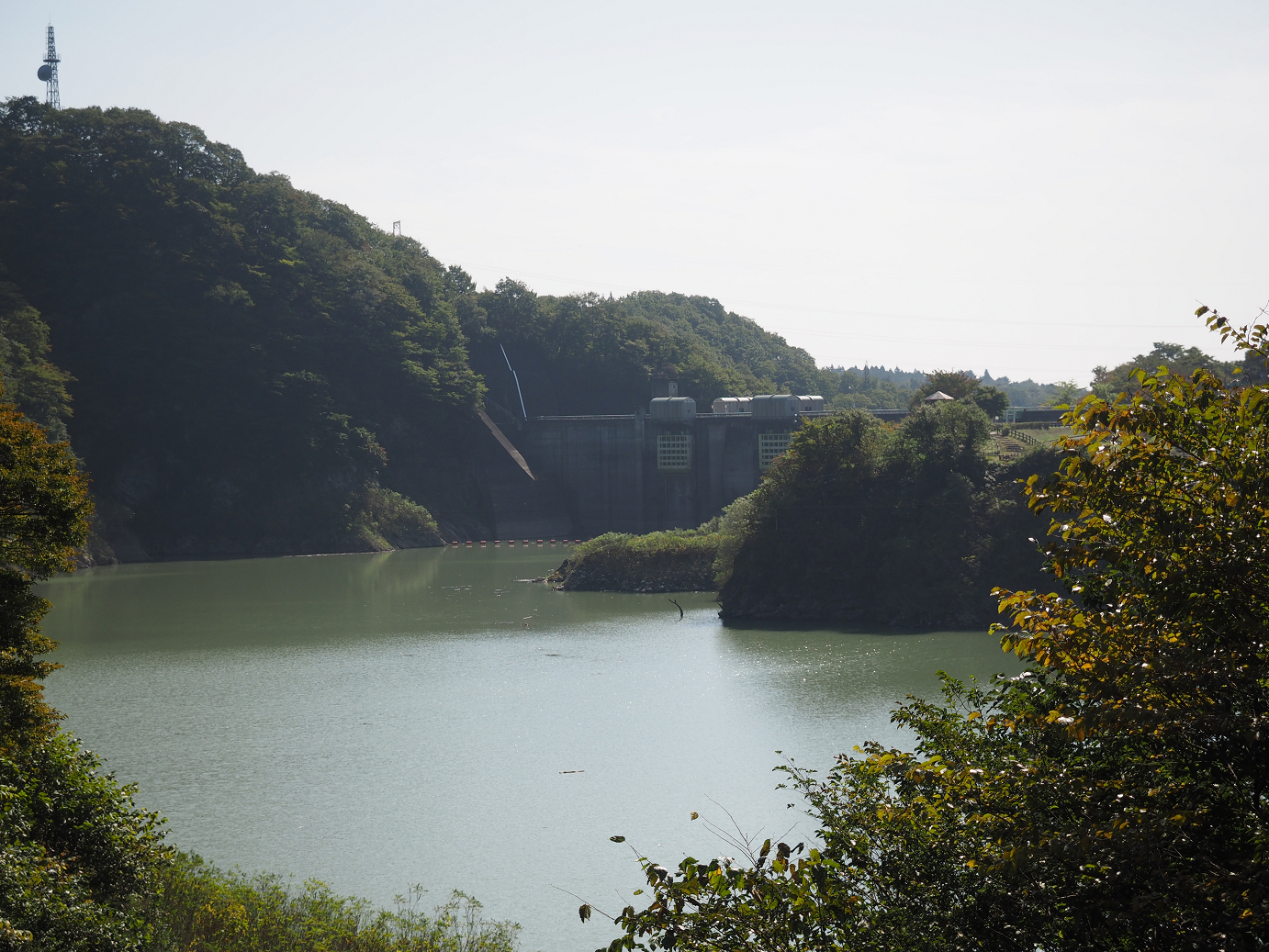 PA110032.jpg