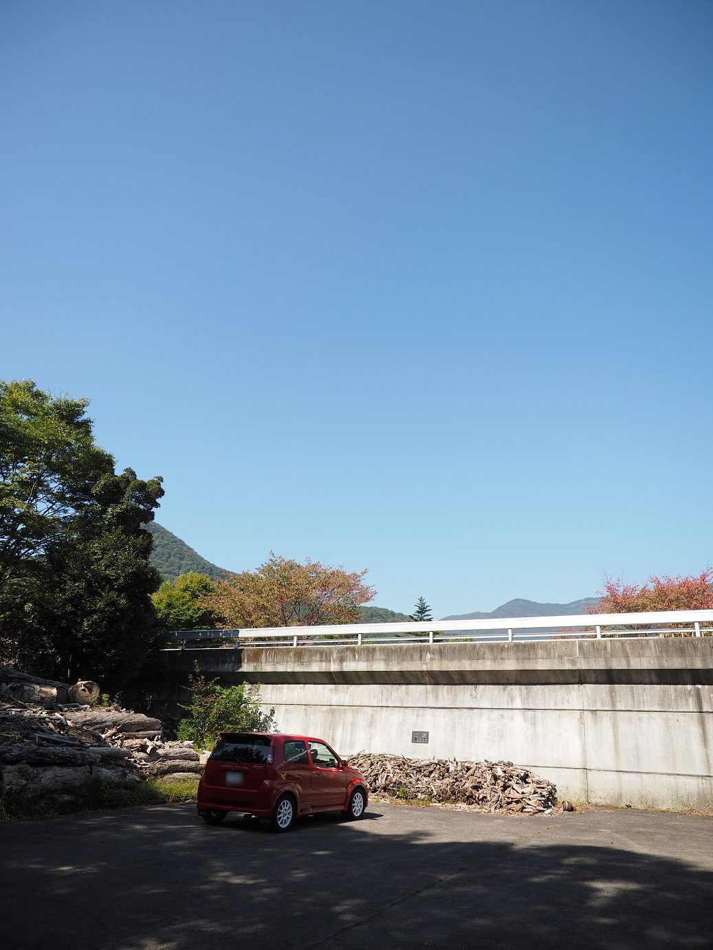 PA110042.jpg