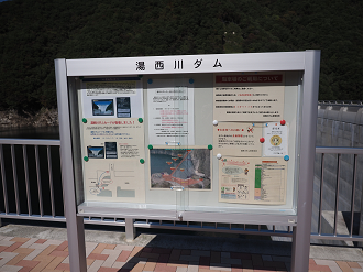 PA110045_thumb.png