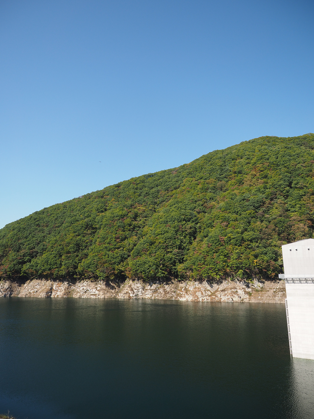 PA110050.jpg