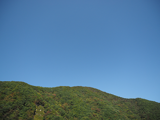 PA110053_thumb.png
