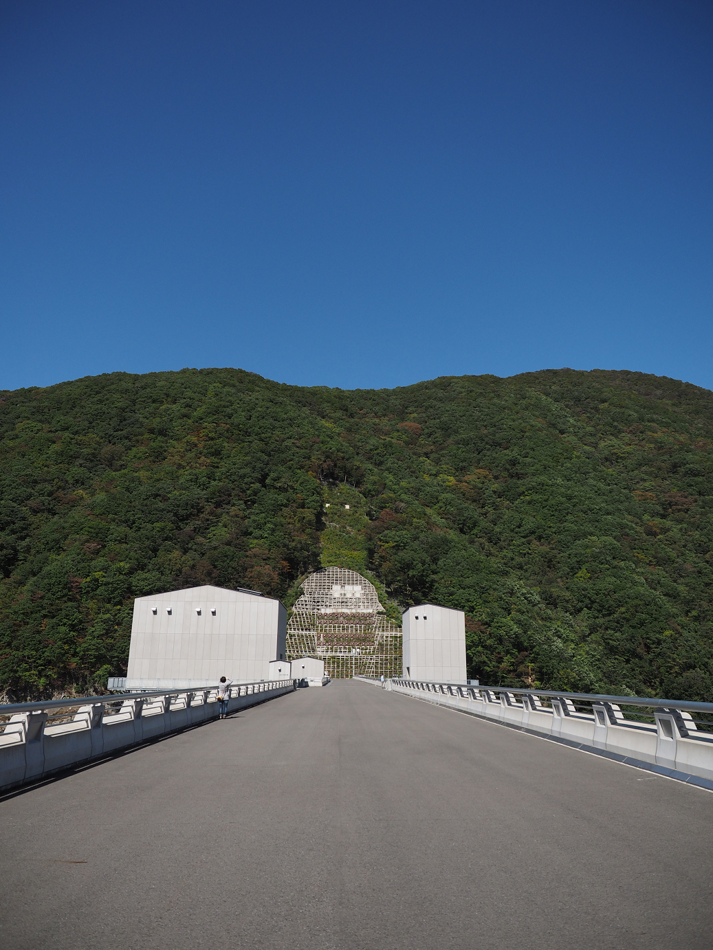 PA110056.jpg