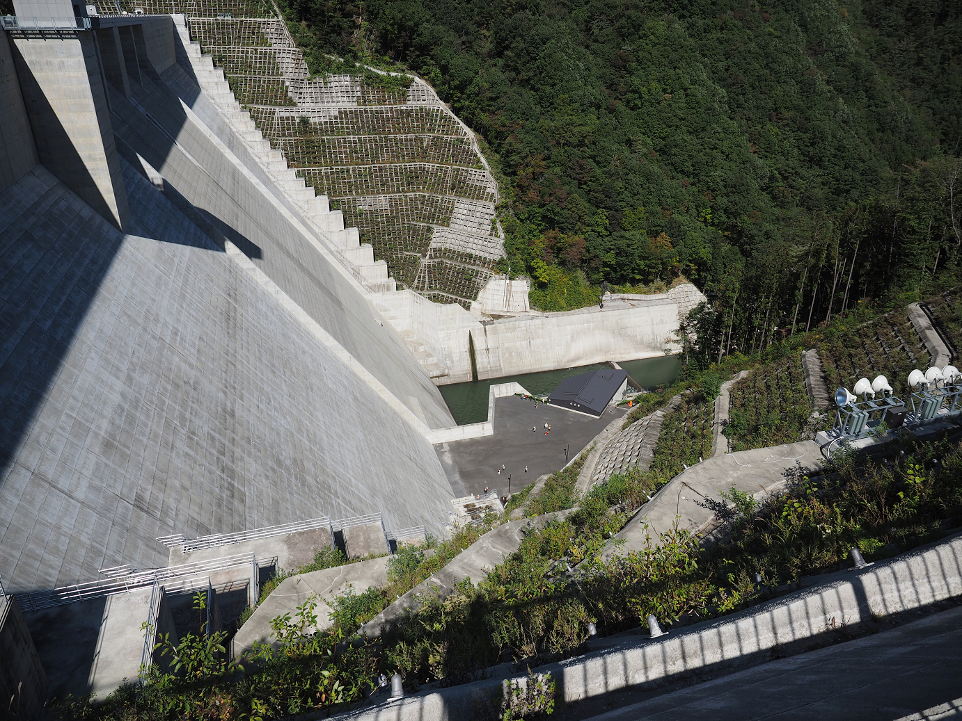 PA110061.jpg