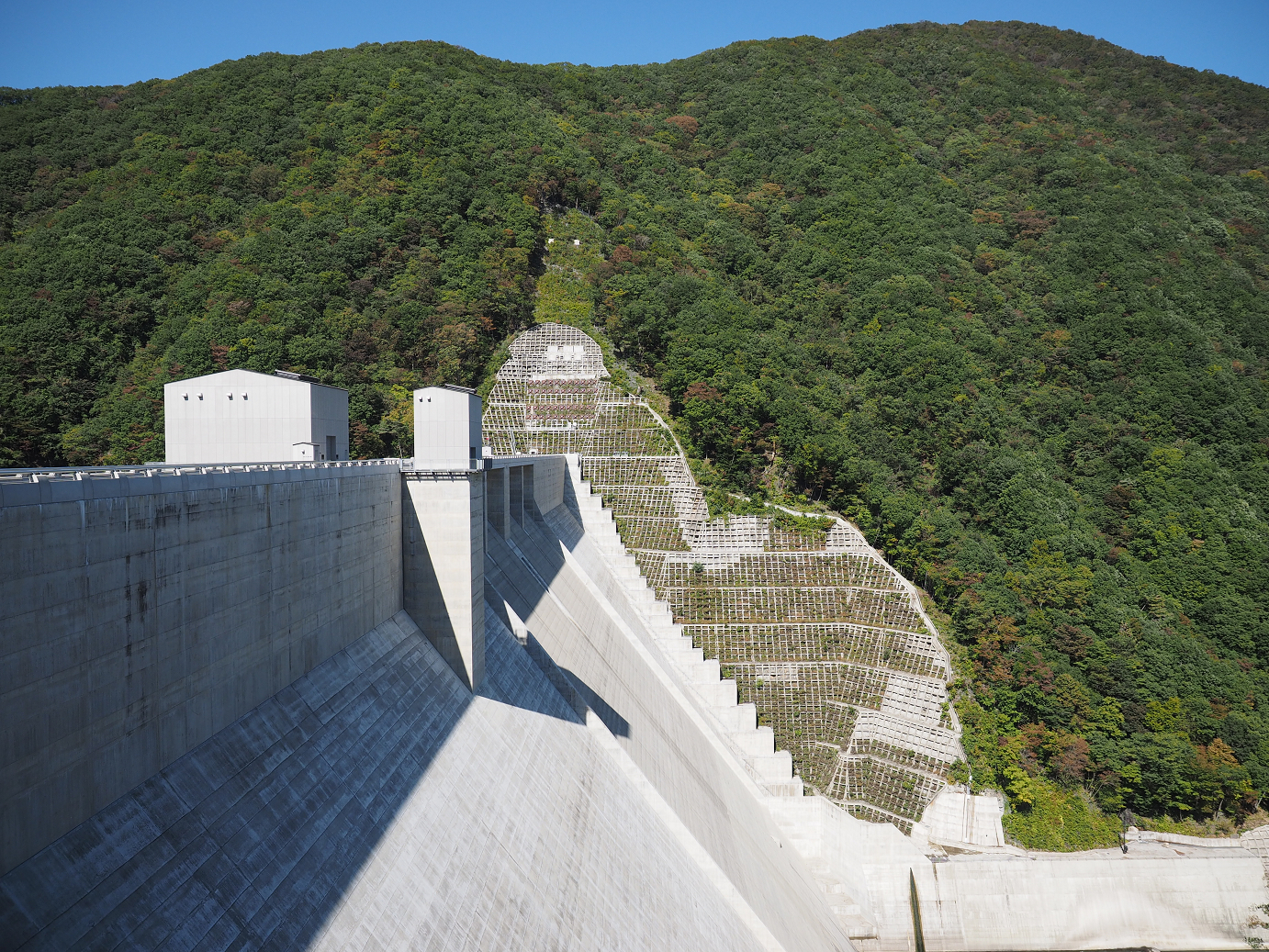 PA110062.jpg