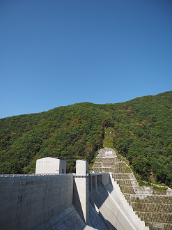 PA110063_thumb.png