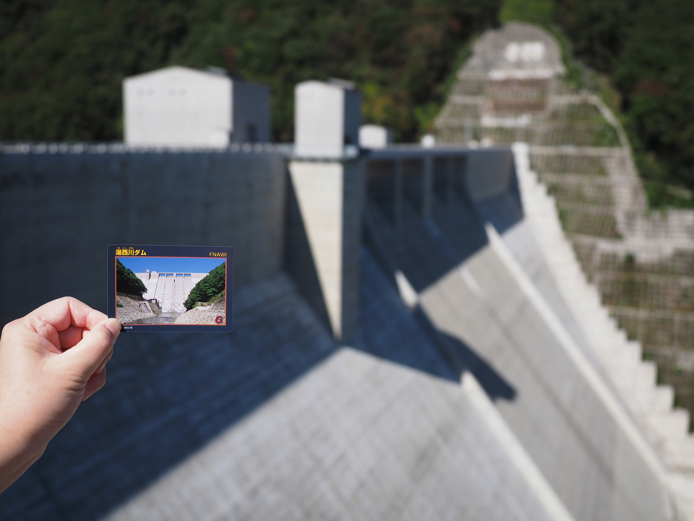 PA110064.jpg