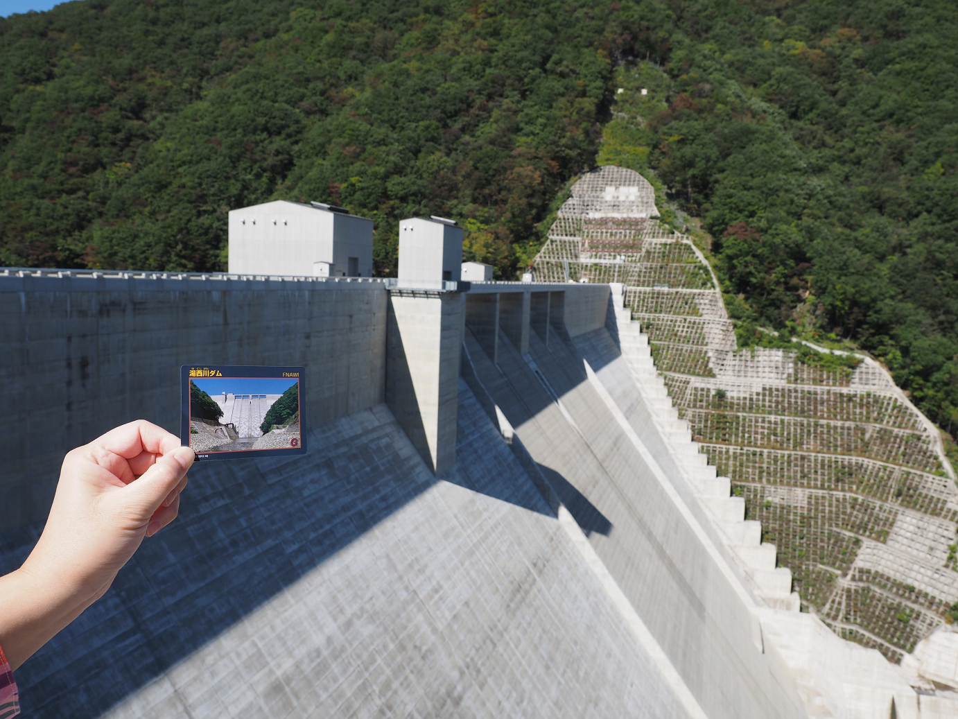 PA110066.jpg
