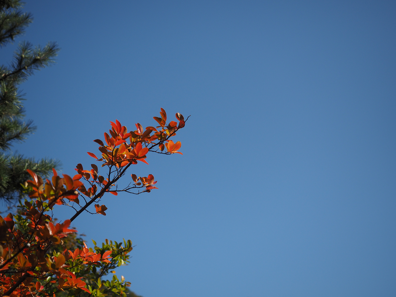 PA110076.jpg