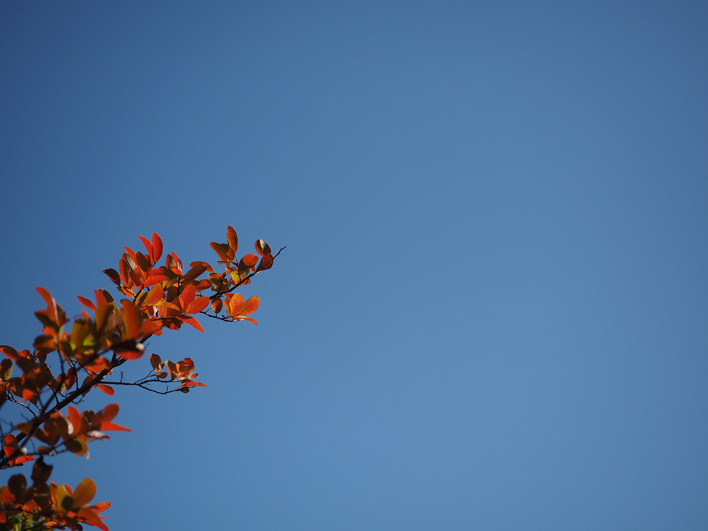PA110077.jpg