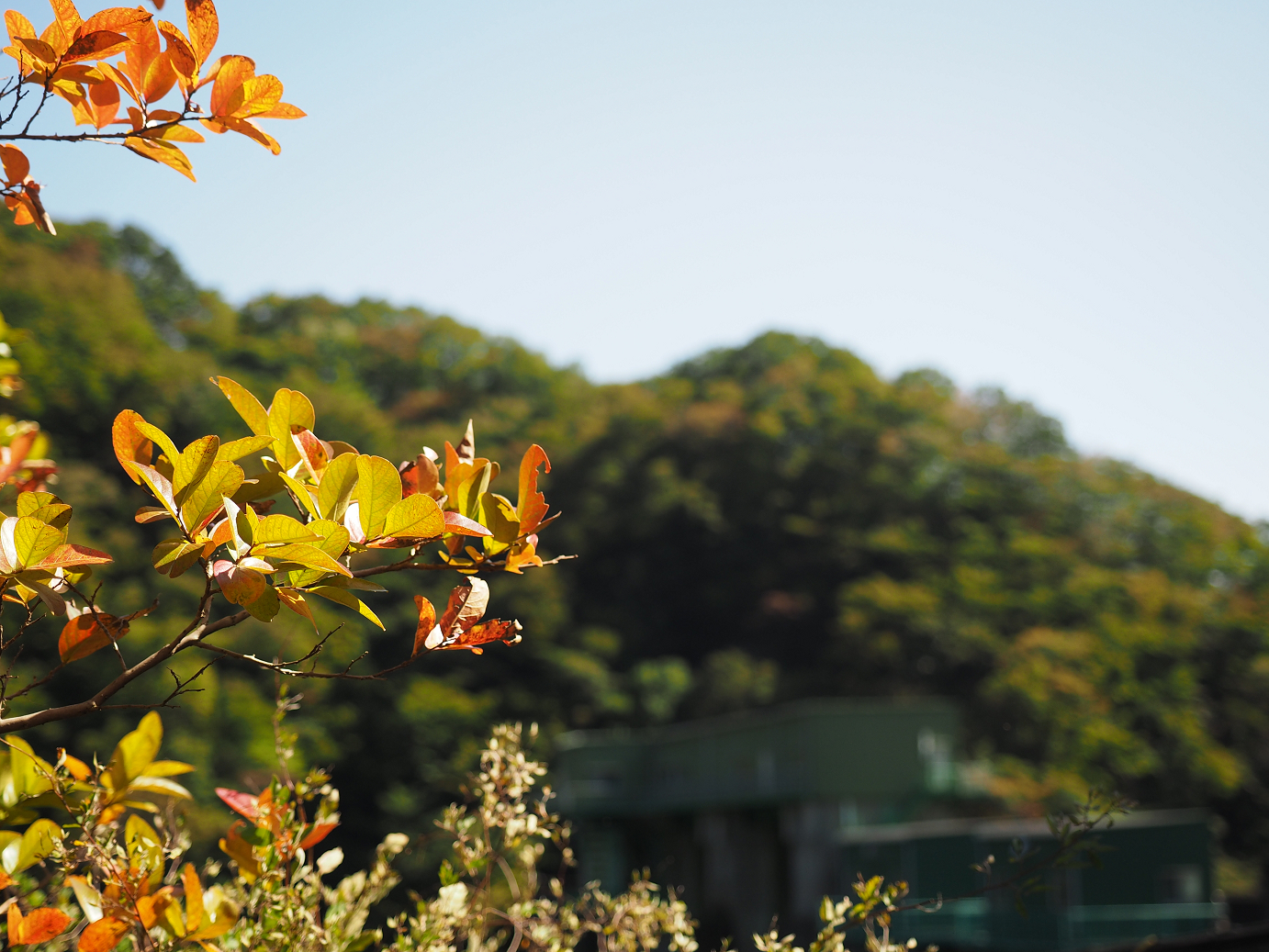 PA110080.jpg
