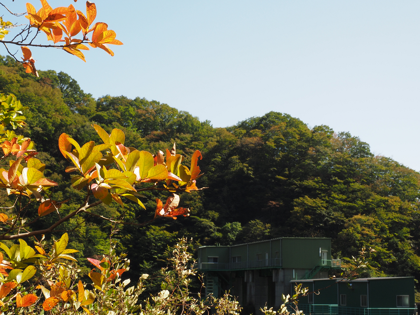 PA110081.jpg