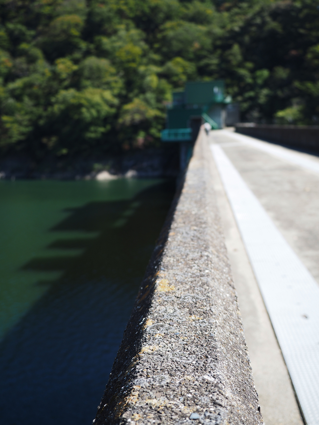 PA110097.jpg