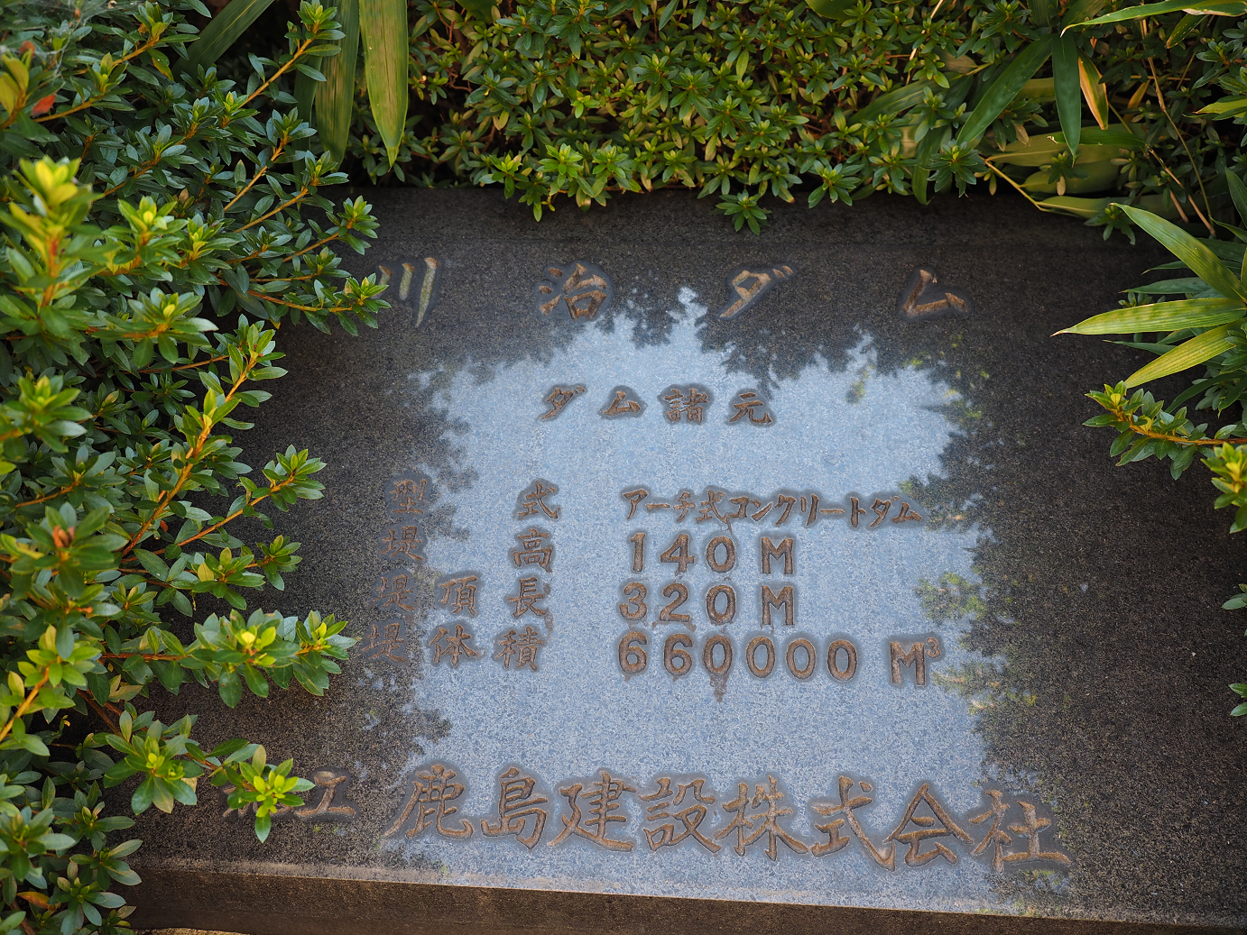 PA110112.jpg