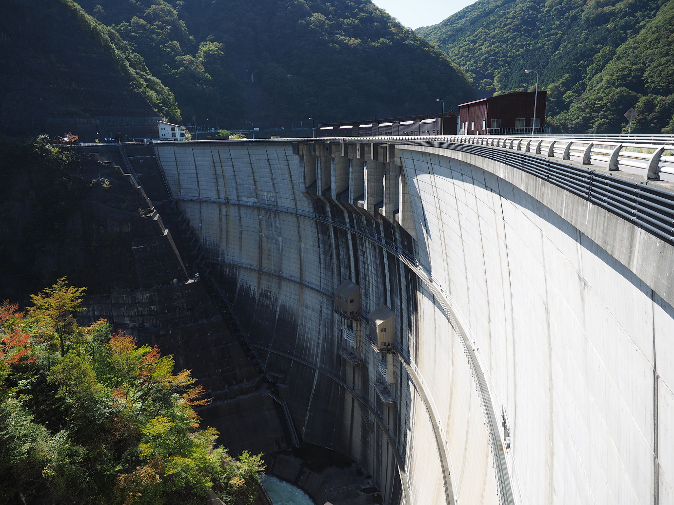 PA110117.jpg