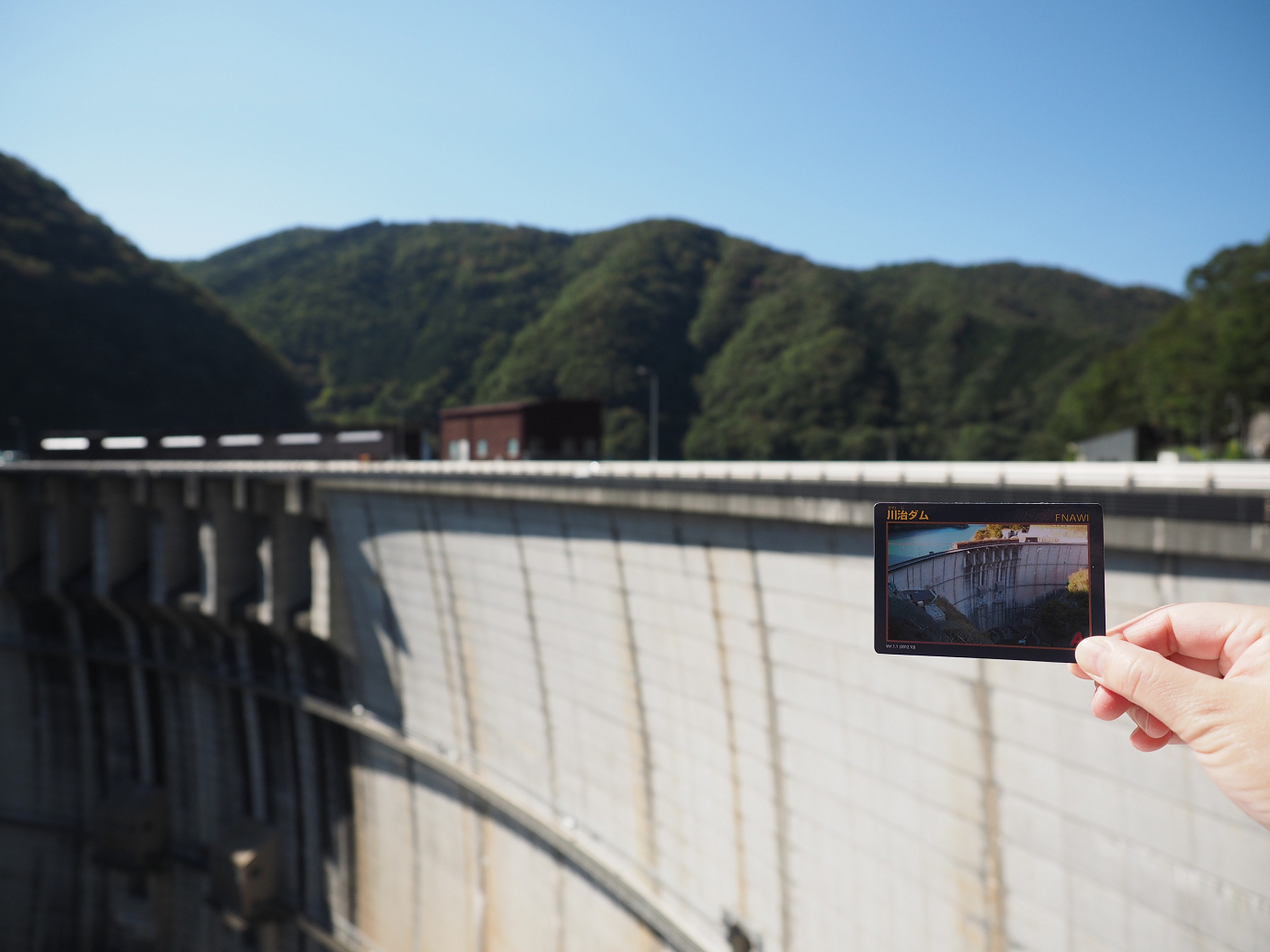 PA110120.jpg