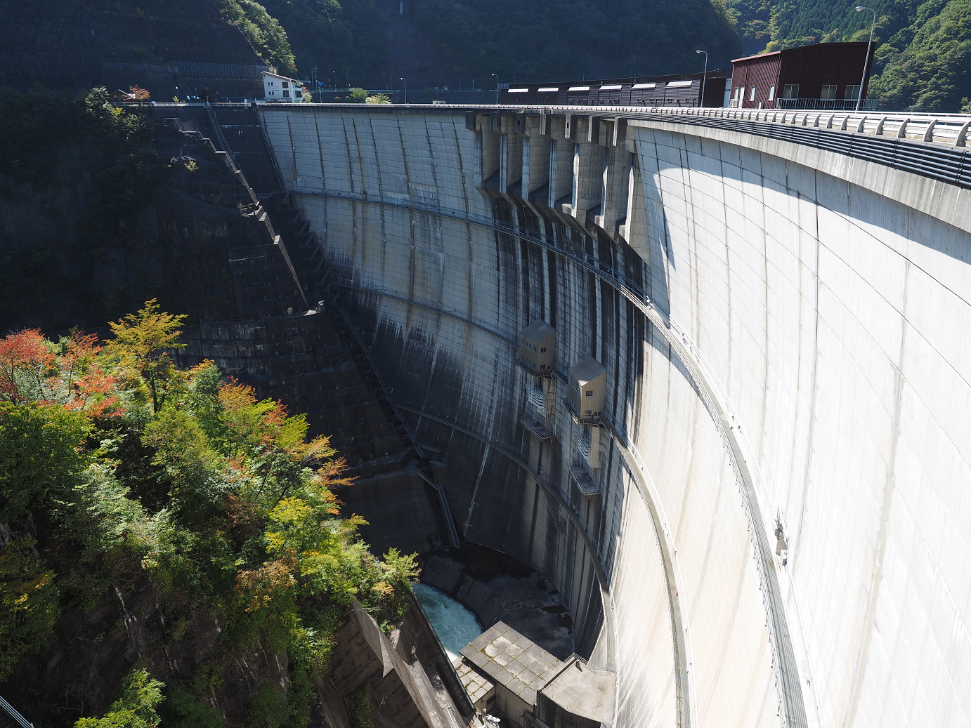 PA110125.jpg