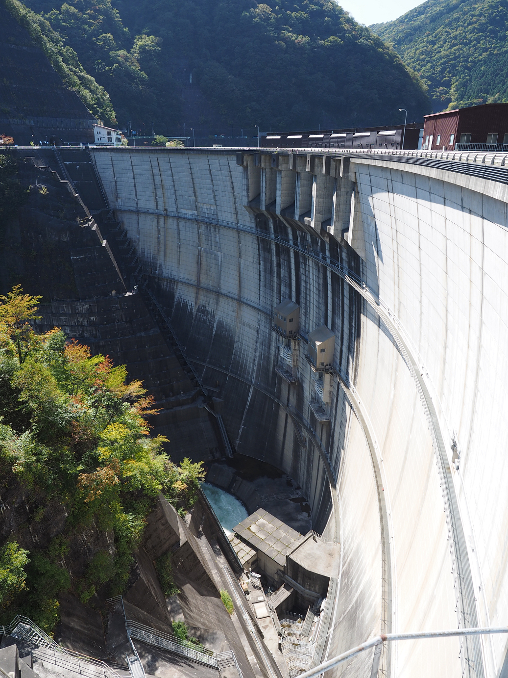 PA110126.jpg