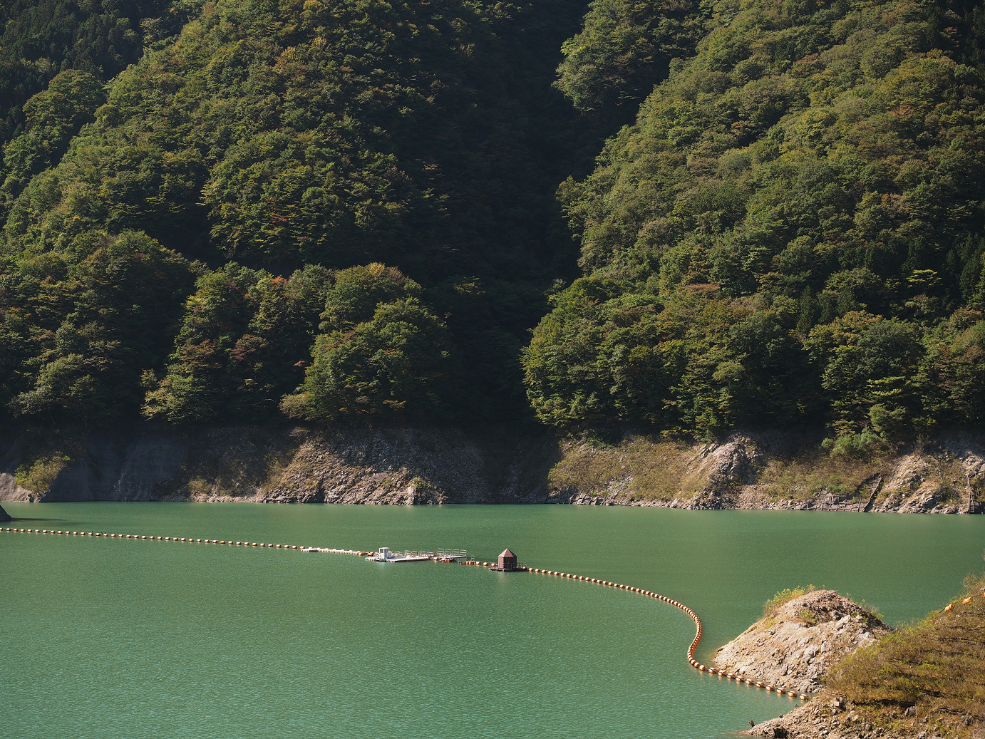 PA110130.jpg
