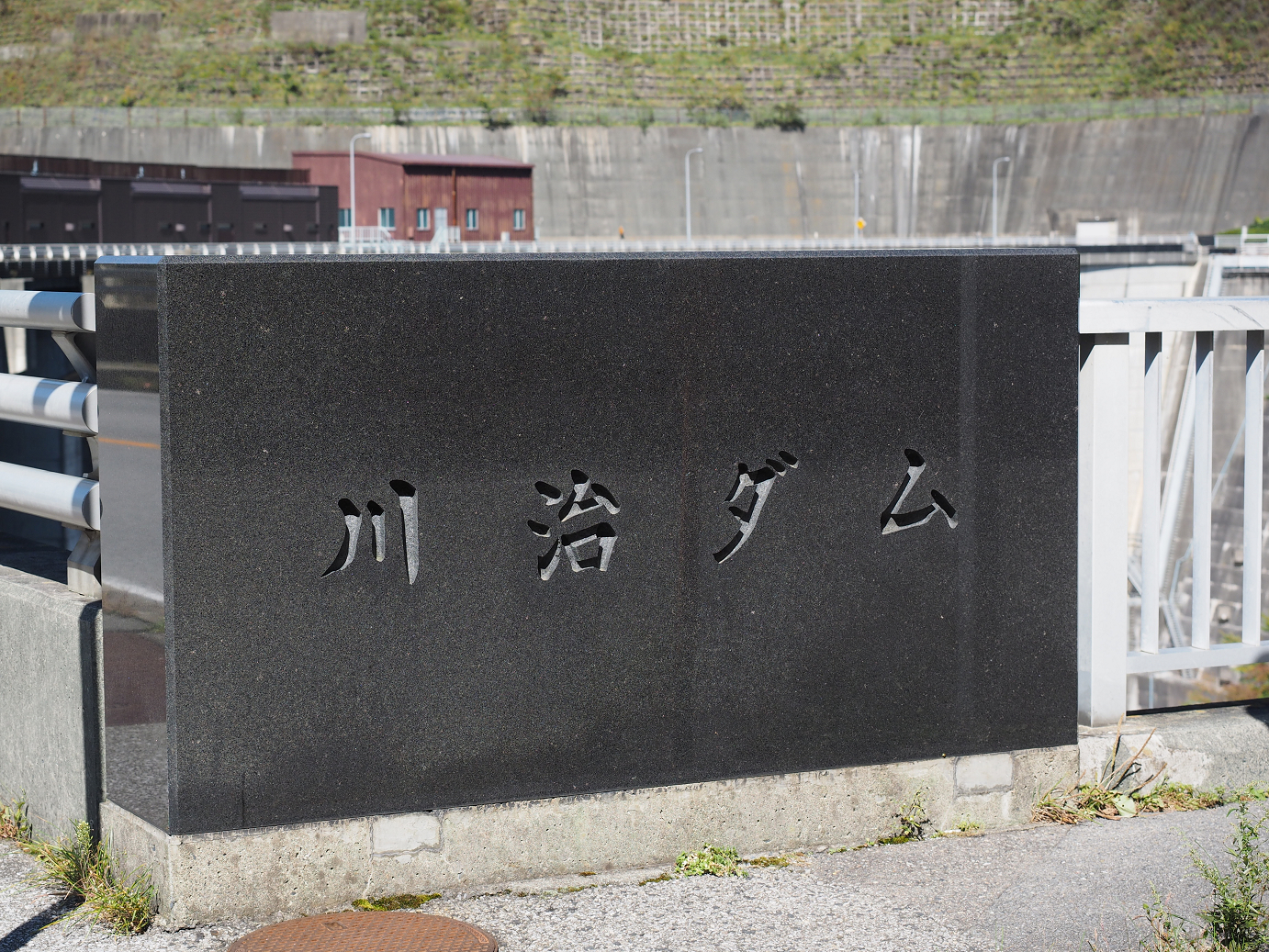PA110141.jpg