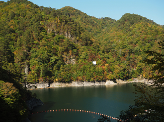 PA110146_thumb.png