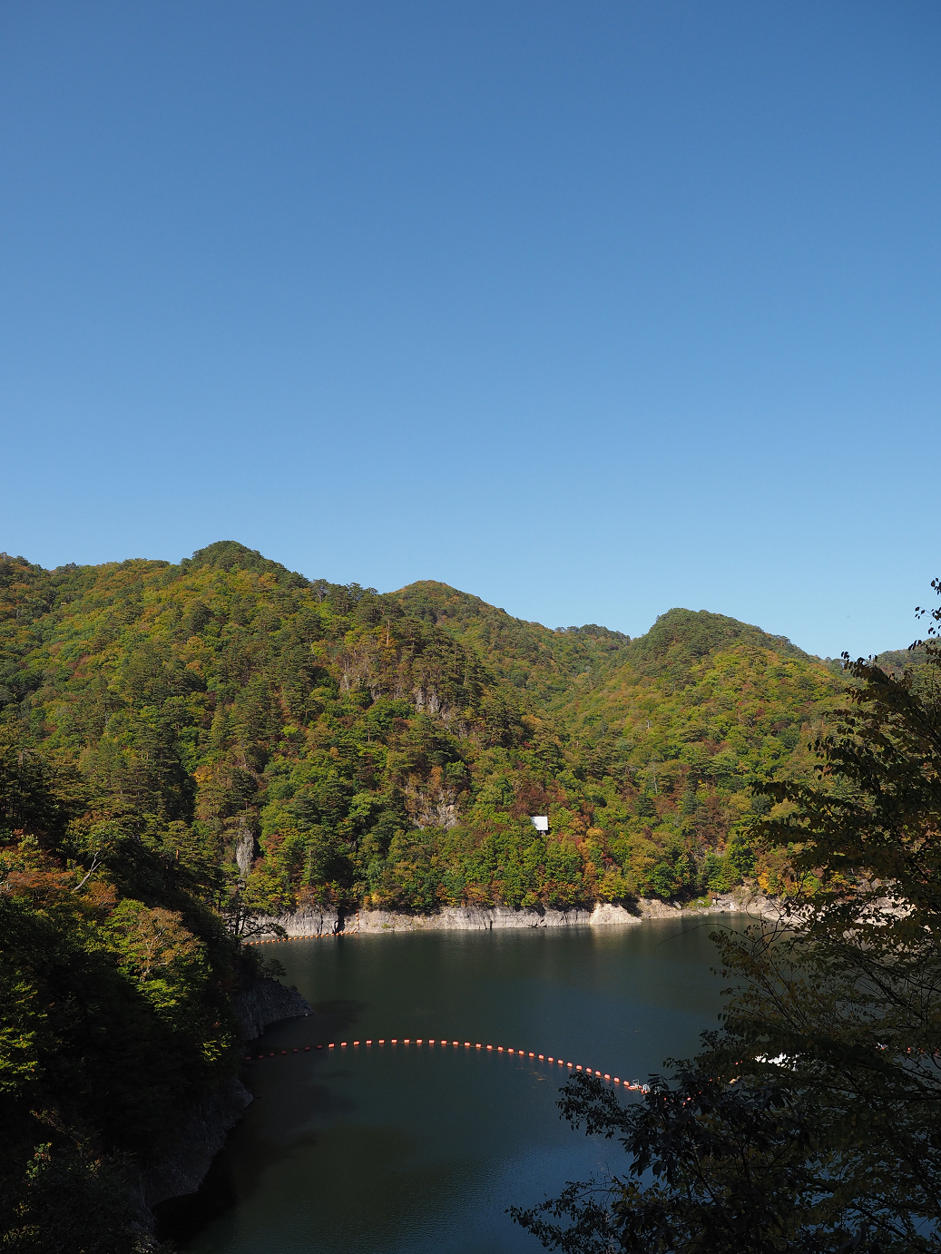 PA110147.jpg