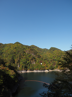 PA110147_thumb.png