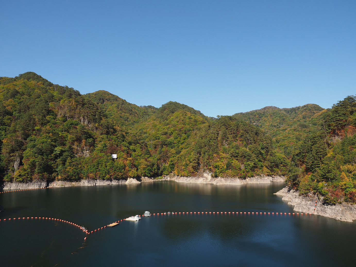 PA110153.jpg