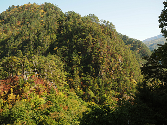 PA110156_thumb.png