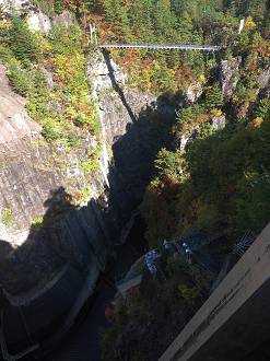 PA110164_thumb.png