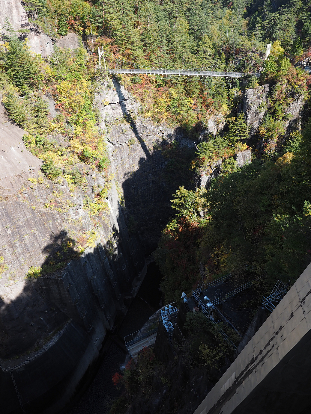 PA110165.jpg