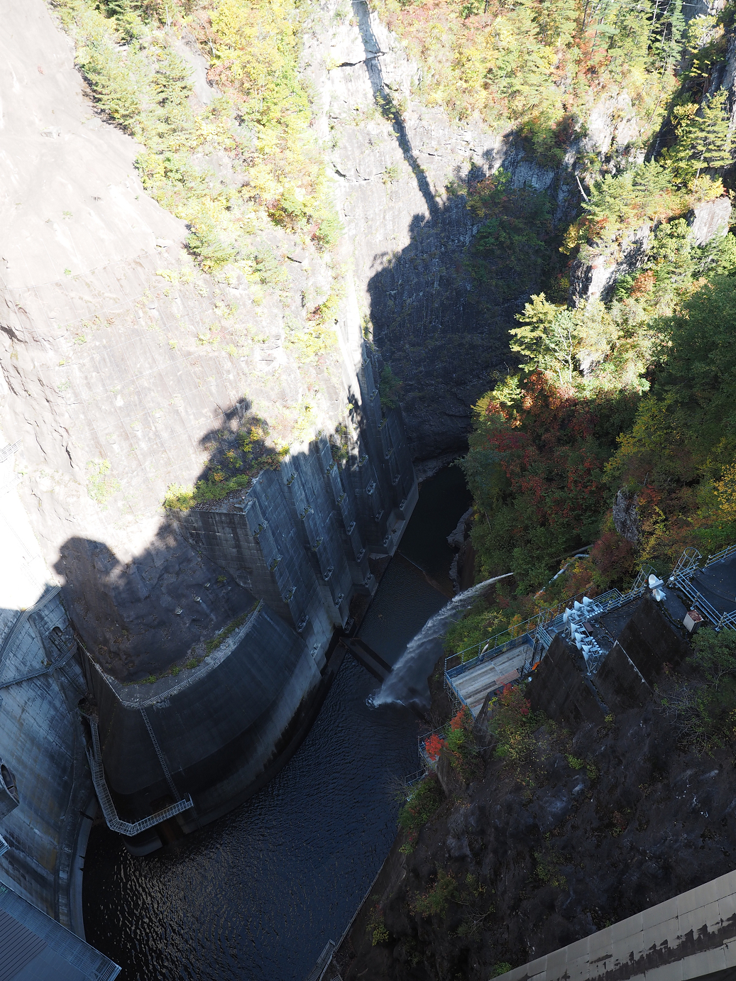 PA110167.jpg