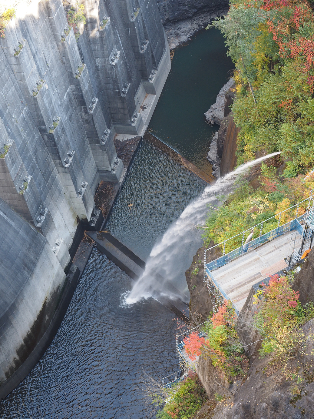 PA110168.jpg