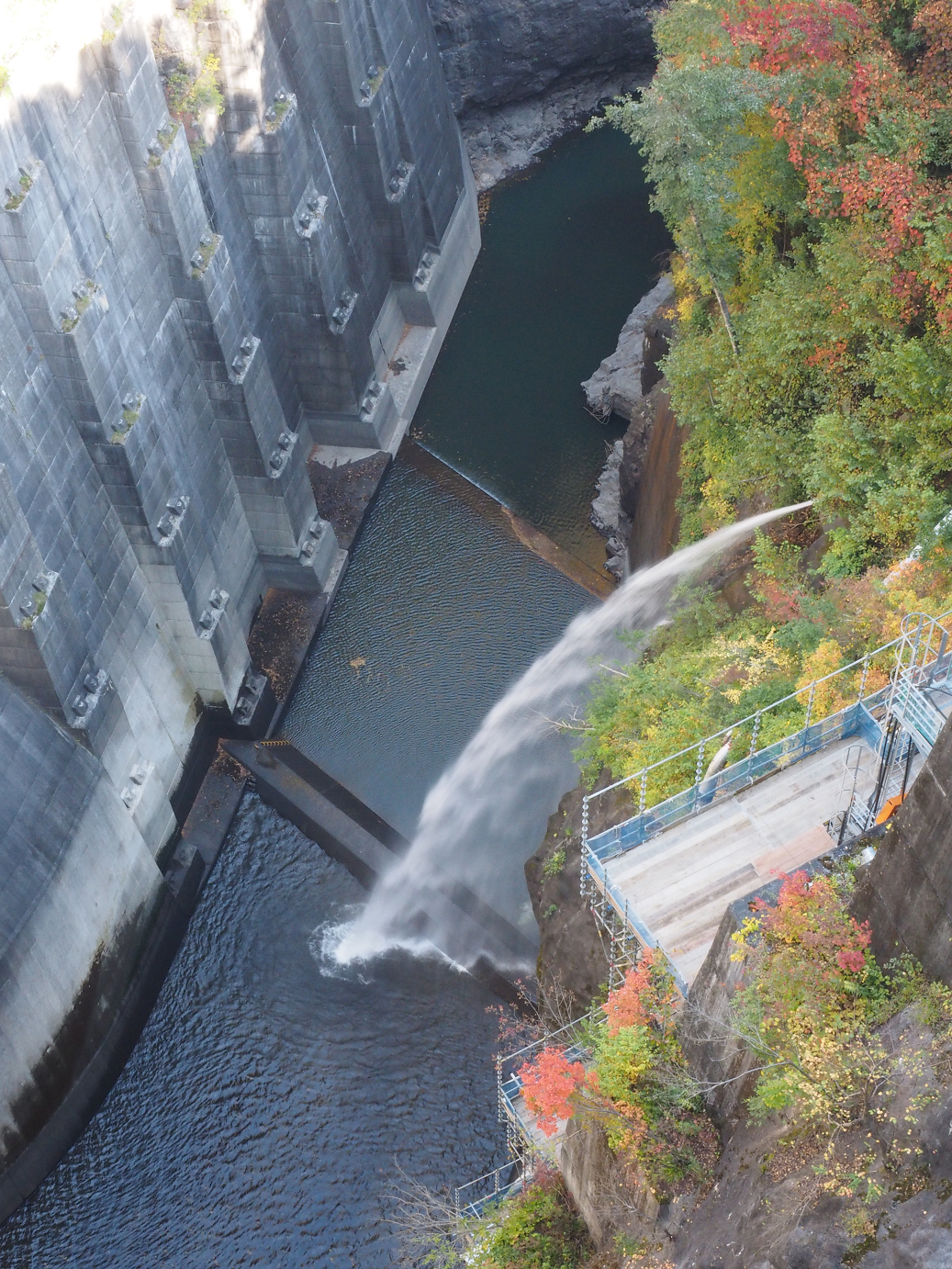 PA110169.jpg