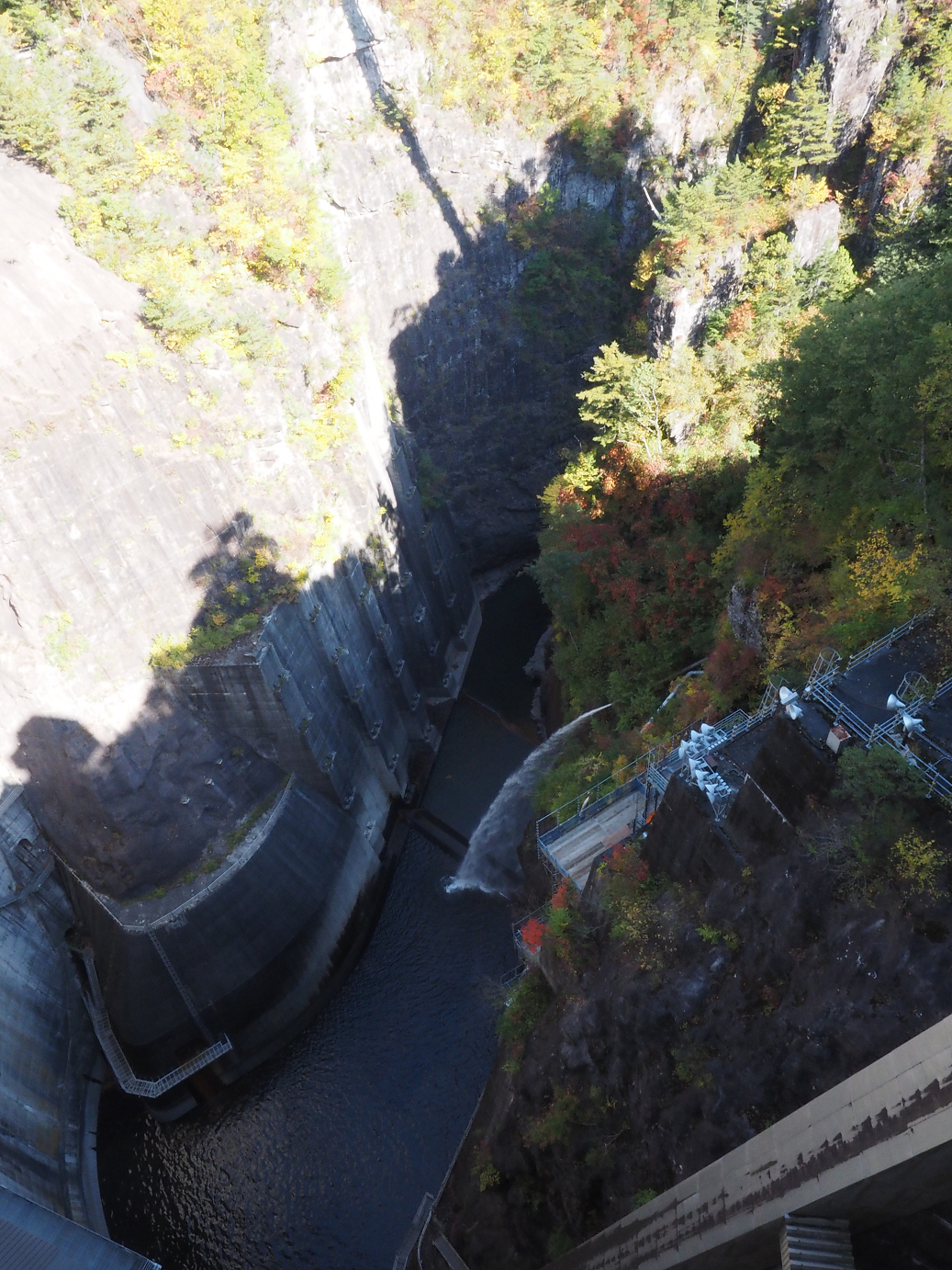 PA110171.jpg