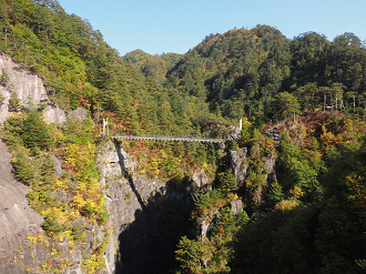 PA110174_thumb.png