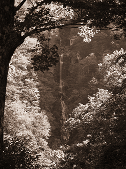 PA110208-2_thumb.png