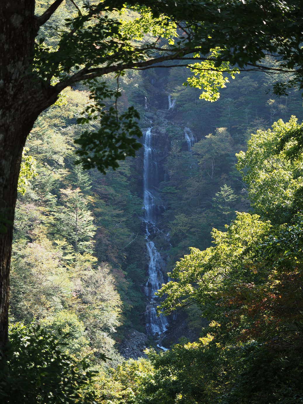 PA110208.jpg