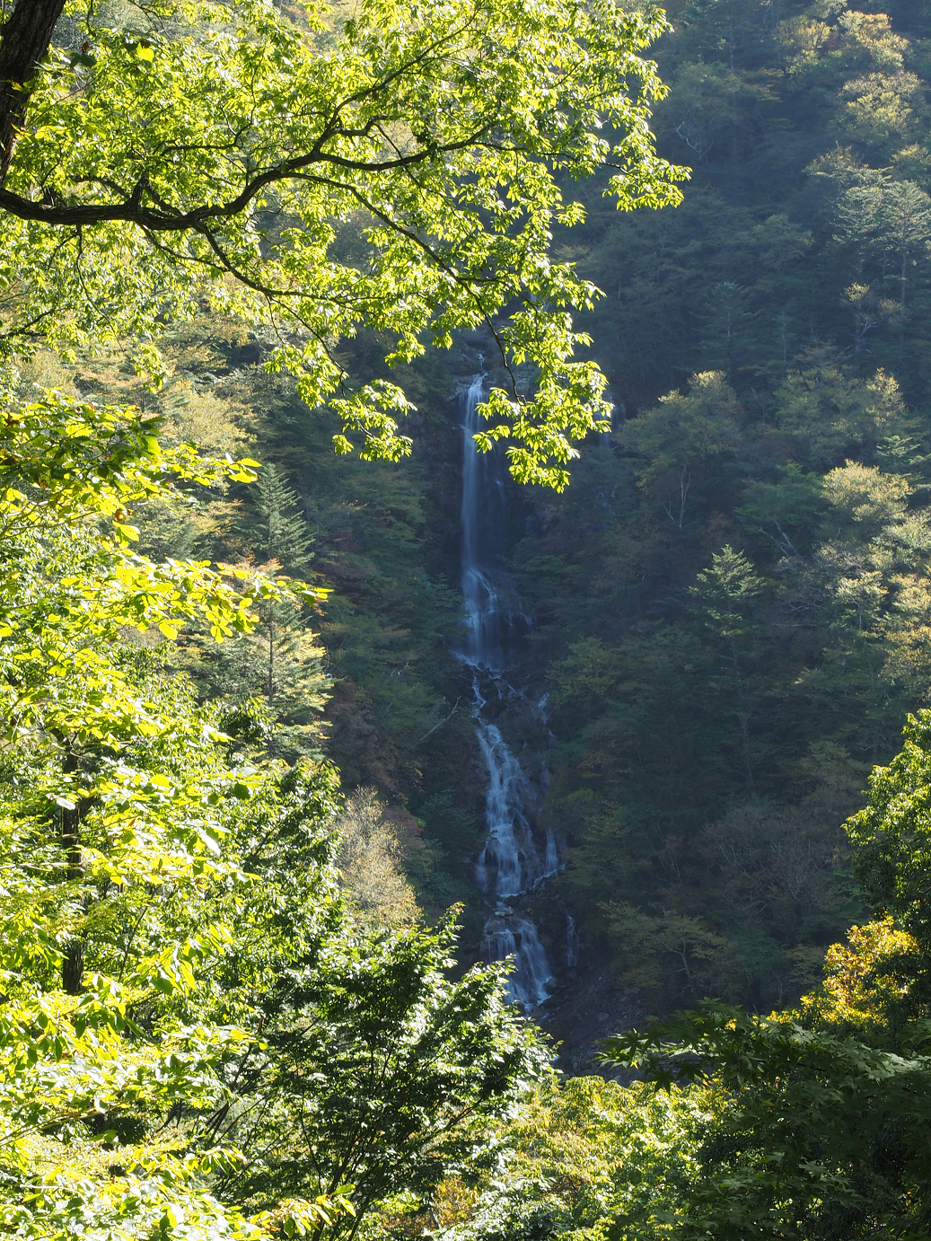 PA110225.jpg