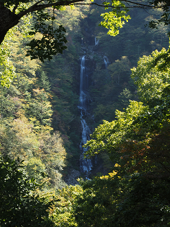 PA110228_thumb.png