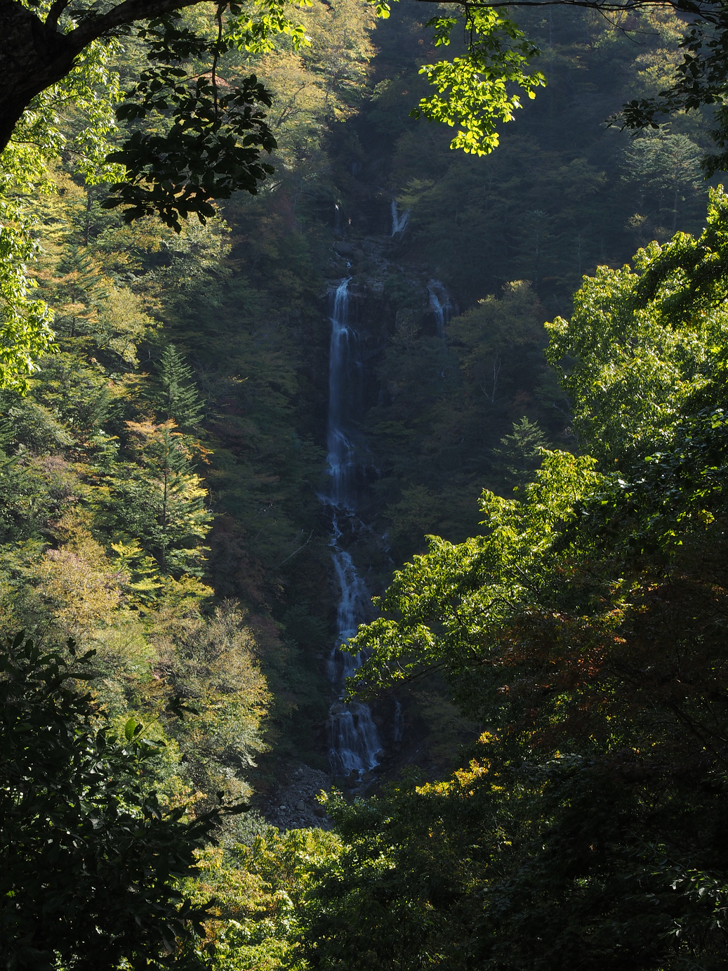 PA110231.jpg