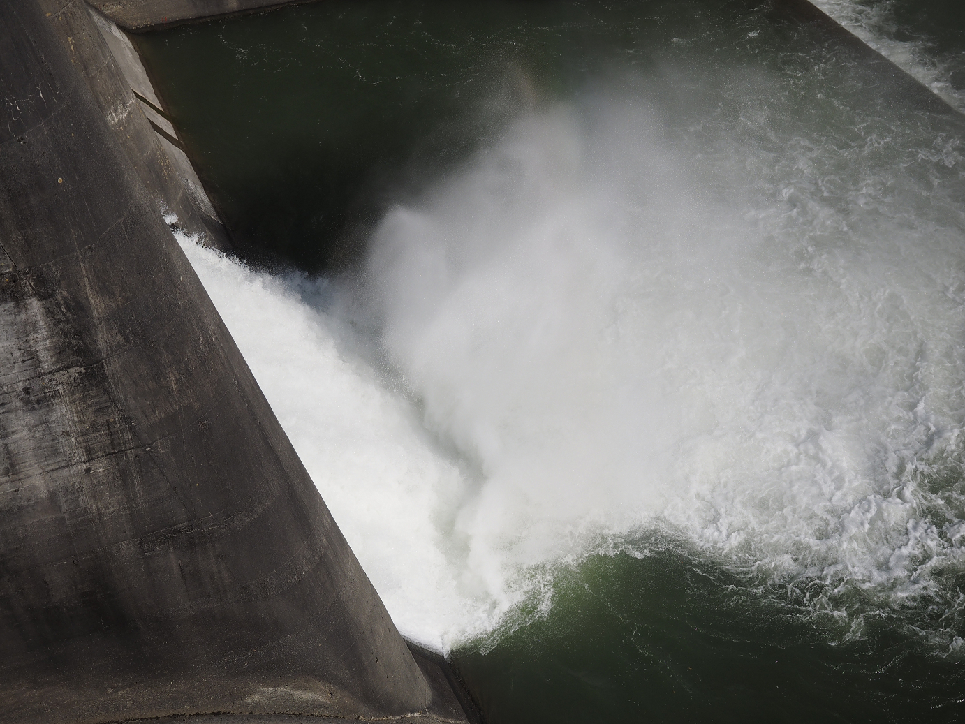 PA110237.jpg