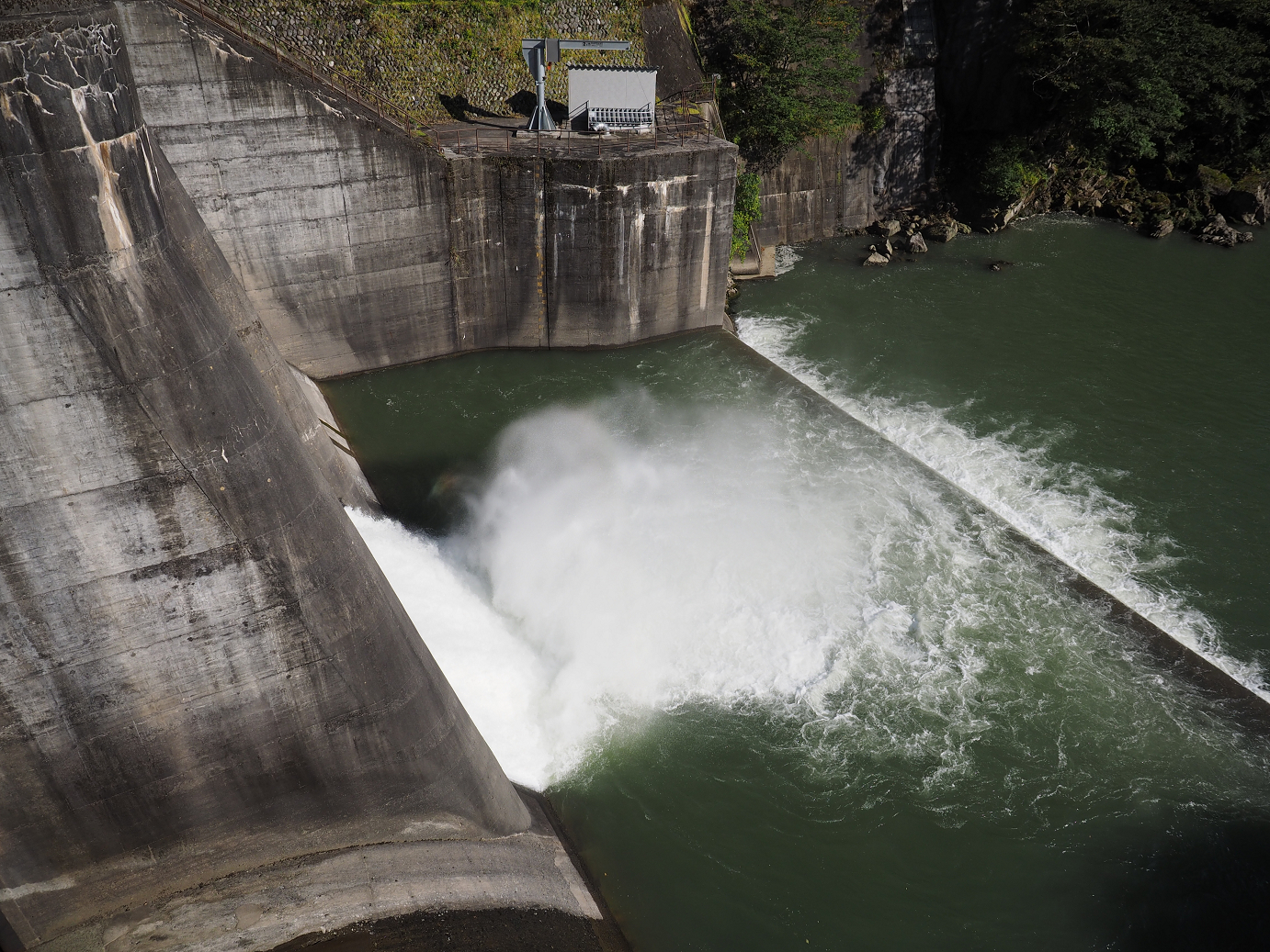 PA110238.jpg
